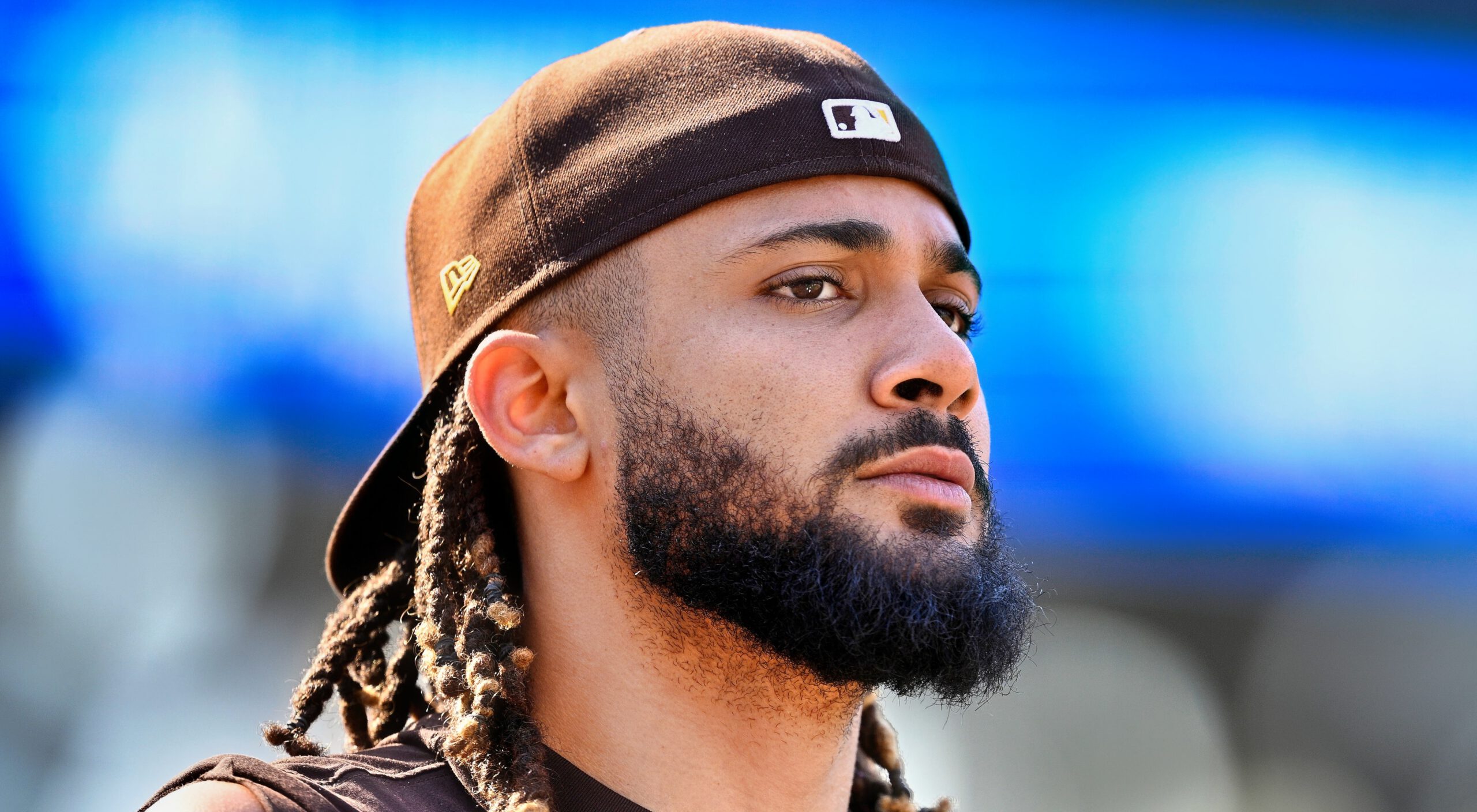 Fernando Tatis Jr. MLB