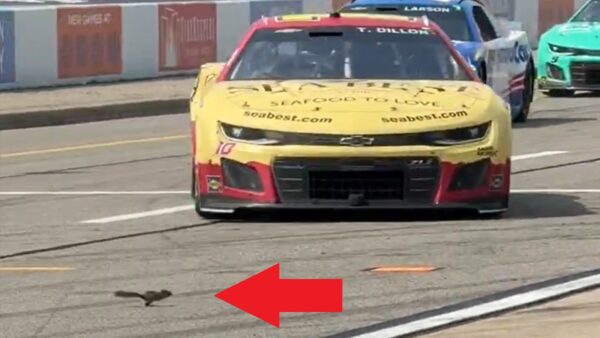 Ty Dillon about to hit a squirrel